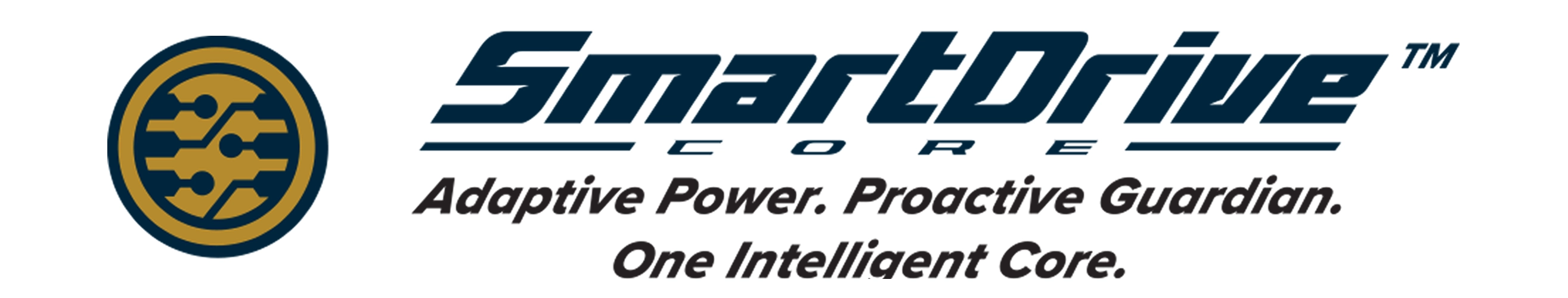 SmartDrive